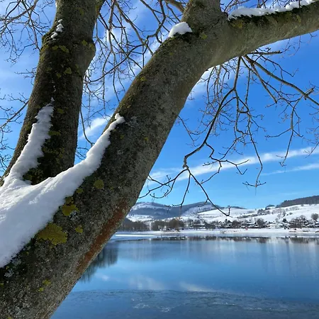 Lägenhet Seetraum Diemelsee